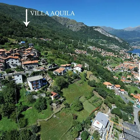 Aquila